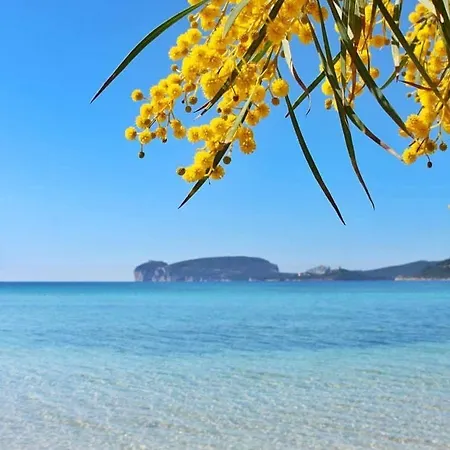 Calik Alghero